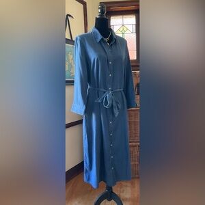 Appleseed's Tencel Denim Shirtdress